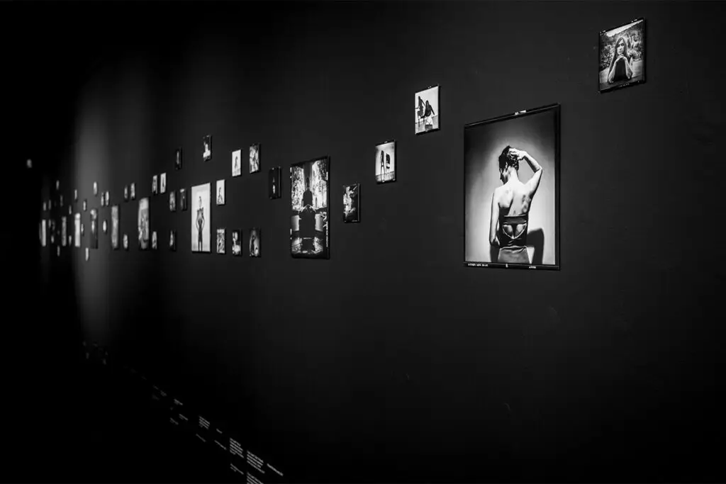 NOWICKA_004