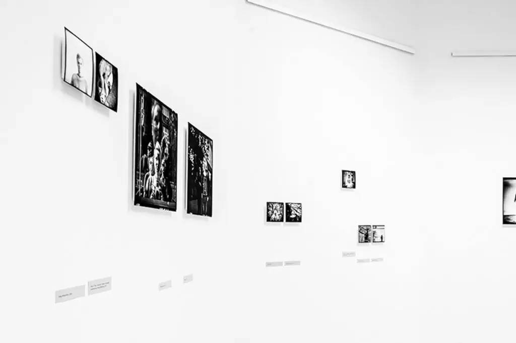NOWICKA_005